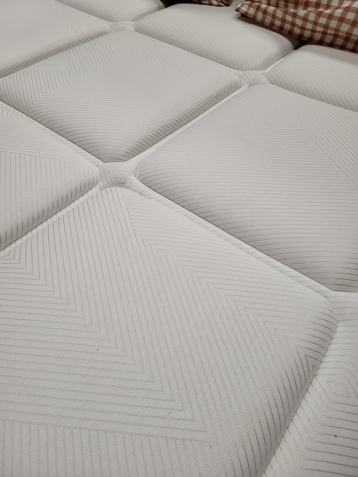 1000034213